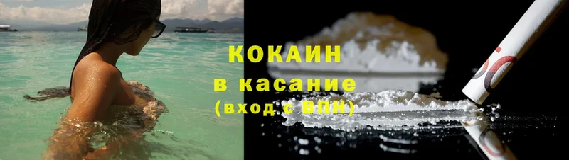 Cocaine Fish Scale  дарнет шоп  Кашира 