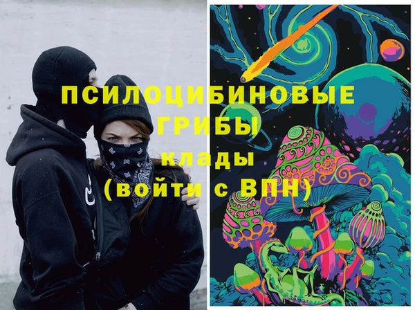 ГАЛЛЮЦИНОГЕННЫЕ ГРИБЫ Бугульма